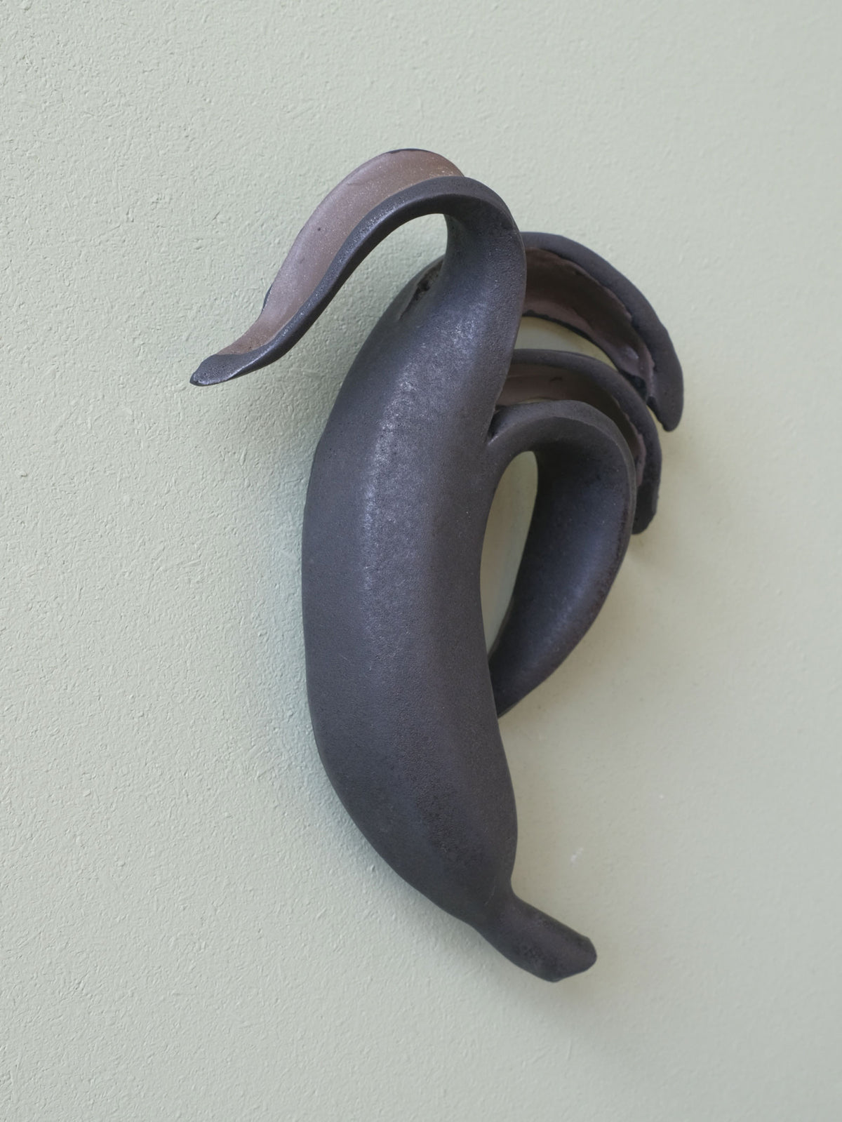 Banana Peel Black no 1