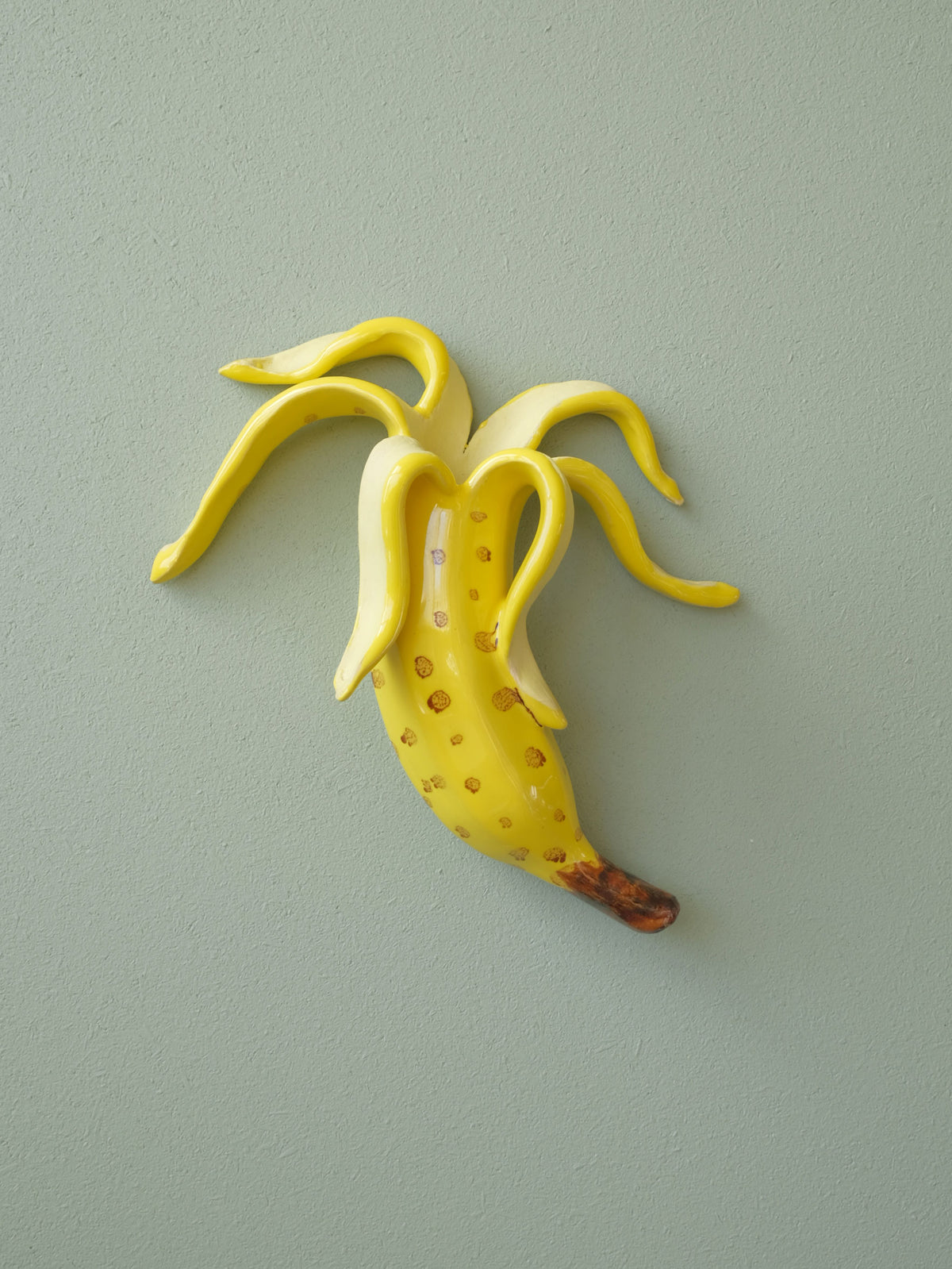 Banana Peel Spots no 6