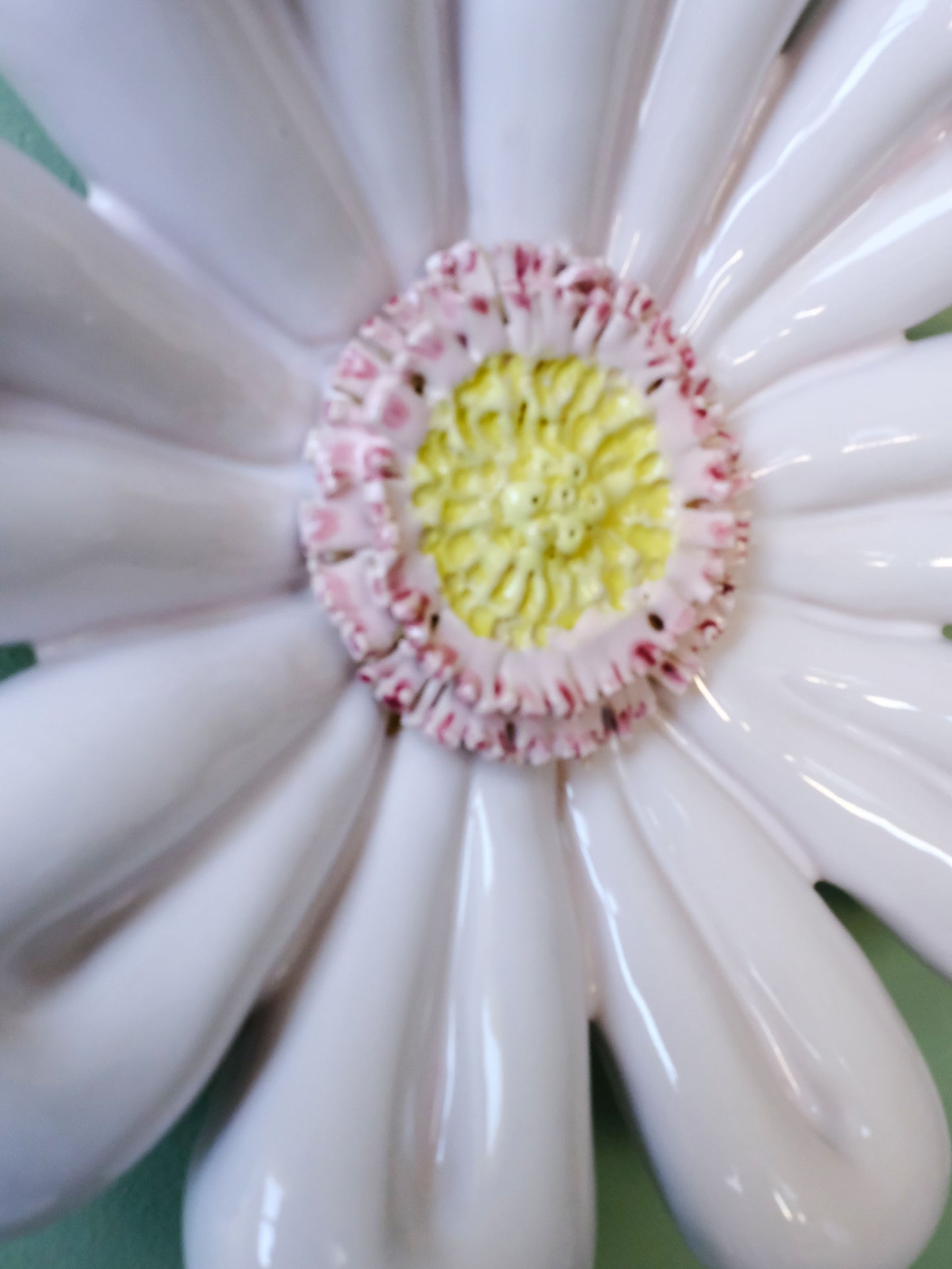 Wall Flower - Hanami