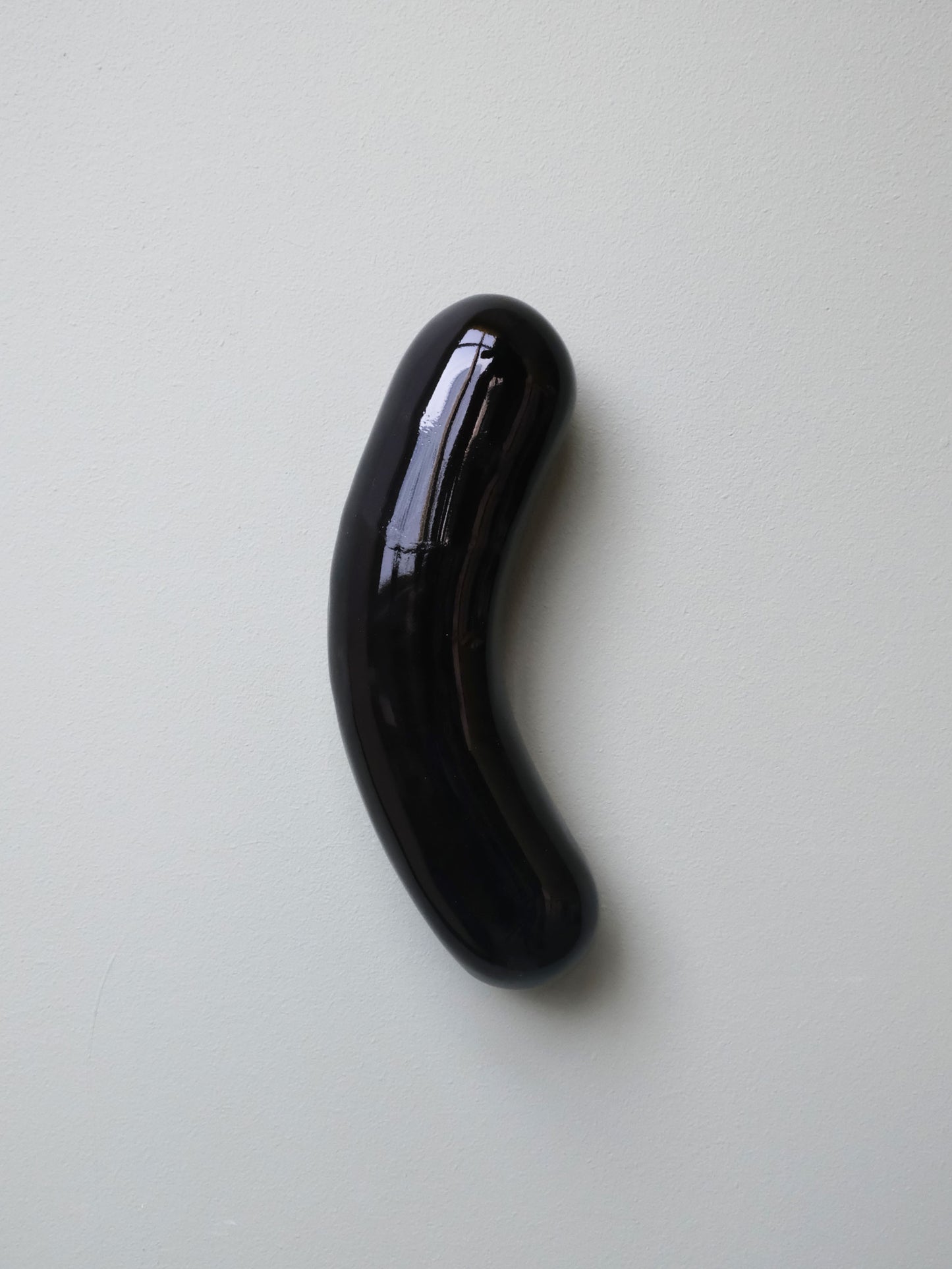 Wall Sausage - Black Shiny